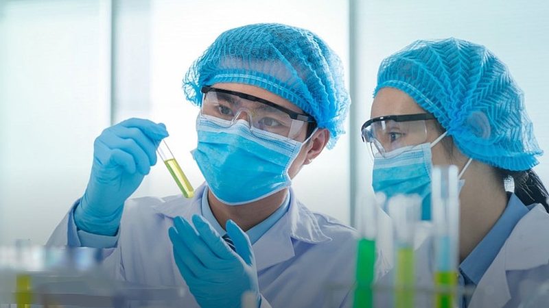 医药批发厂家选择：揭秘合规与品质的密码