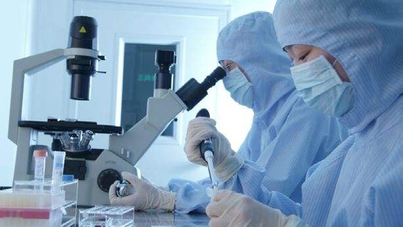 制剂分析方法验证：关键区别与验证要点解析