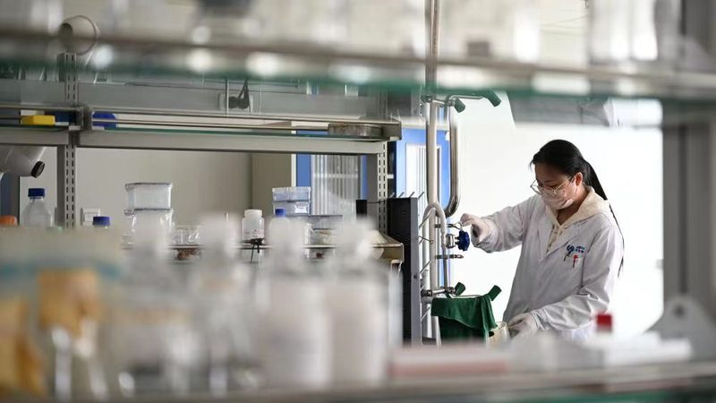 药用辅料：价格背后的考量因素