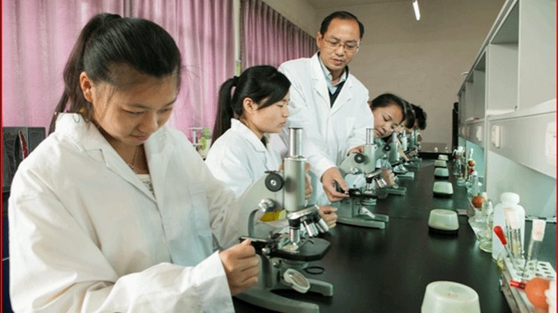 上海实业有限公司