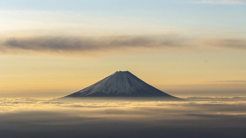 抗生素中间体代理加盟，如何把握关键点？**