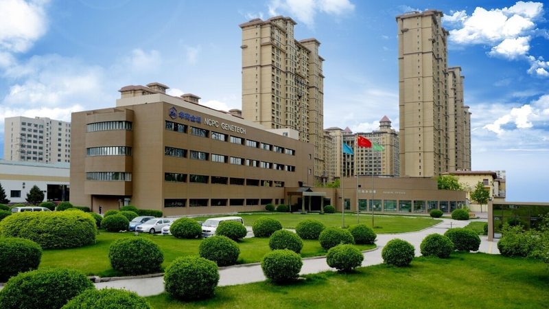 药用辅料定制加工：如何选择优质合作伙伴**